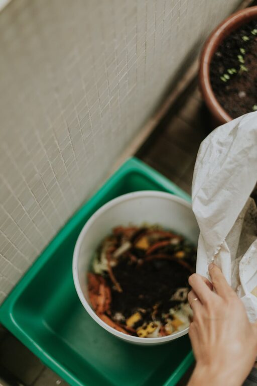 Effective Ways to Reduce Food Waste at Home